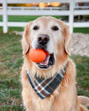 Load image into Gallery viewer, Toasty Olive