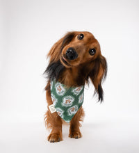 Load image into Gallery viewer, Squirrel Patrol