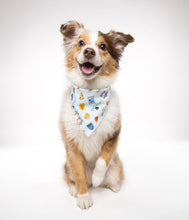 Load image into Gallery viewer, Smells Like Fall Bandana