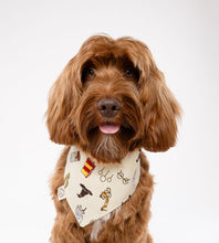 Load image into Gallery viewer, Witches and Wizards