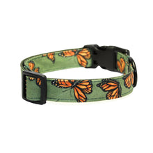 Load image into Gallery viewer, Monarch Butterflies Cotton Collar
