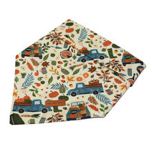 Load image into Gallery viewer, Pumpkin Patch