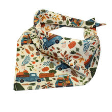 Load image into Gallery viewer, Pumpkin Patch