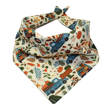 Load image into Gallery viewer, Pumpkin Patch