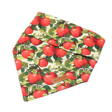 Load image into Gallery viewer, You're the Apple of my Eye ๐