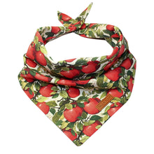 Load image into Gallery viewer, You're the Apple of my Eye ๐