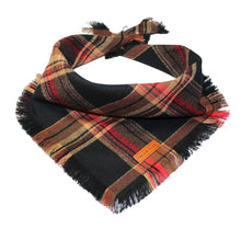 Load image into Gallery viewer, Roasted Fringed Chestnut