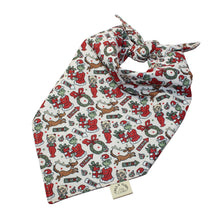 Load image into Gallery viewer, Christmas Grinch