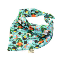 Load image into Gallery viewer, Lucky Charm