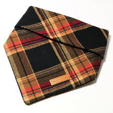 Load image into Gallery viewer, Roasted Chestnut