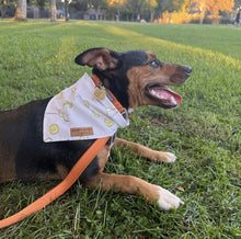 Load image into Gallery viewer, Margarita Cocktails