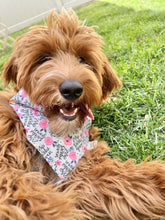 Load image into Gallery viewer, Zero Barks Given
