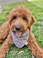 Load image into Gallery viewer, Zero Barks Given
