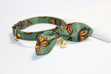 Load image into Gallery viewer, Monarch Butterflies Cat Collar and Bunny Bow

