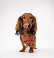 Load image into Gallery viewer, Its Freaking bats Dog Bandana
