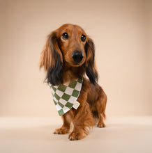 Load image into Gallery viewer, Green Pine Checkers
