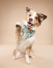 Load image into Gallery viewer, Trick or Treat Teal Bandana

