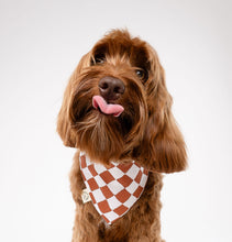 Load image into Gallery viewer, Sienna Checkers
