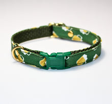 Load image into Gallery viewer, St Patty Day Irish Beer Collar and Bunny Bow
