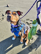 Load image into Gallery viewer, Happy Paws Poop Loop - Dark Olive
