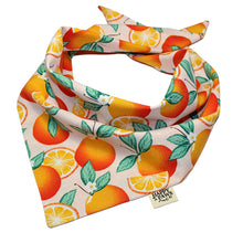 Load image into Gallery viewer, Sweet Summer Clementines
