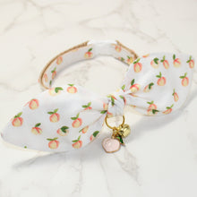 Load image into Gallery viewer, Georgia Peaches Collar and Bunny Bow
